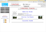 Mike Cashin Realty Website Screen Shot
